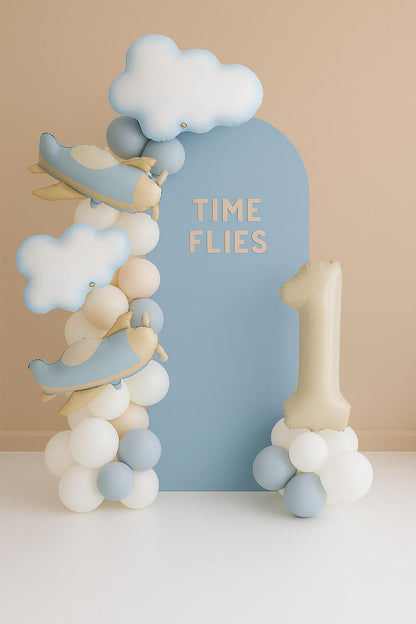 Time Flies First Birthday  Party - photo 2